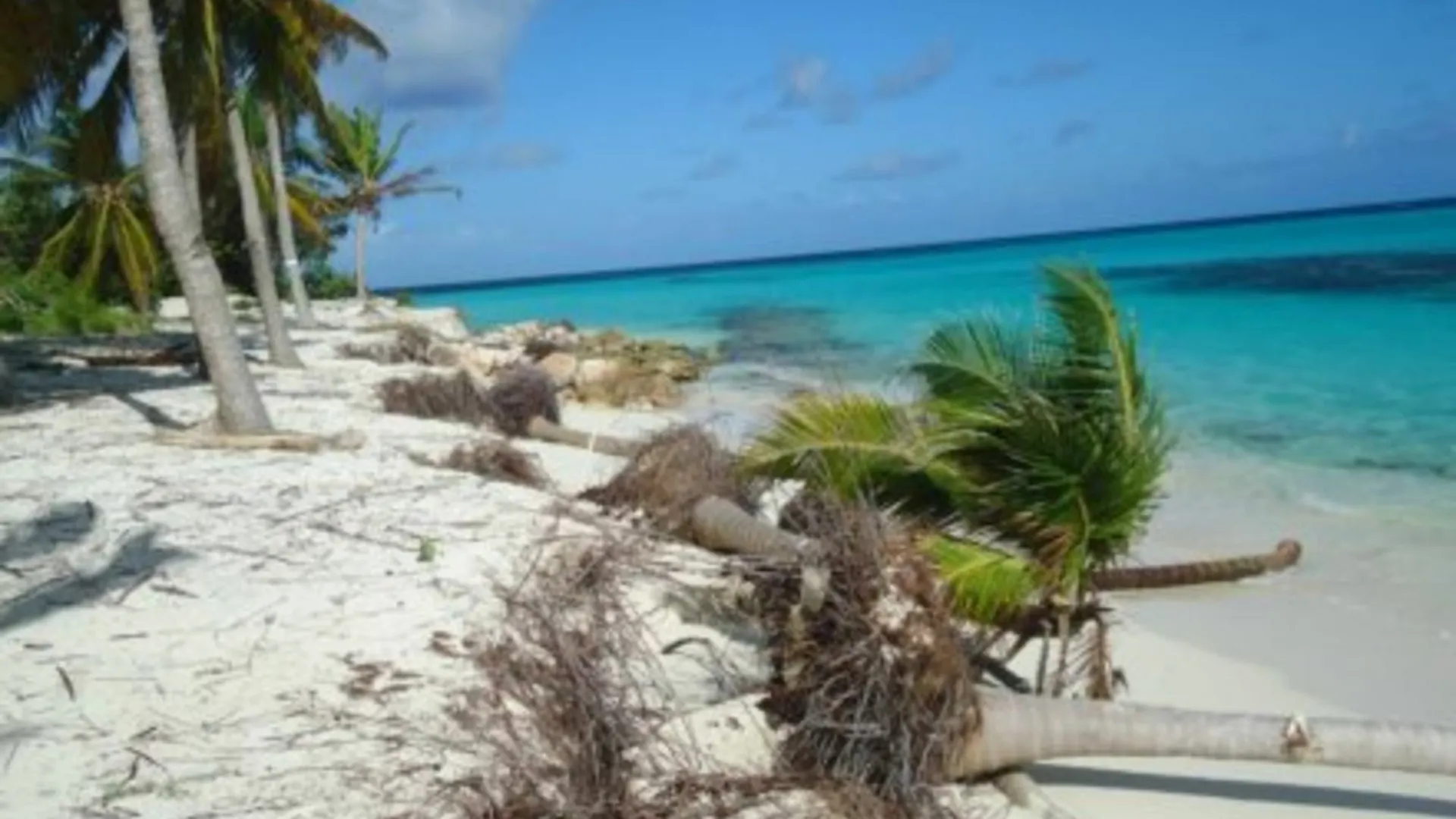 Allamanda Beach Club Shoal Bay Village Apartment