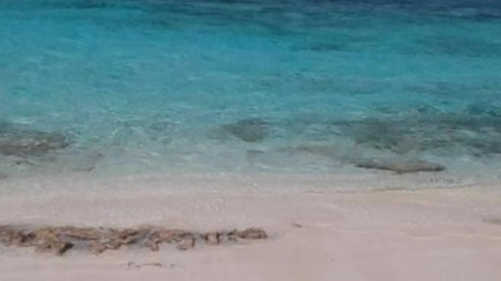 Apartment Allamanda Beach Club Shoal Bay Village