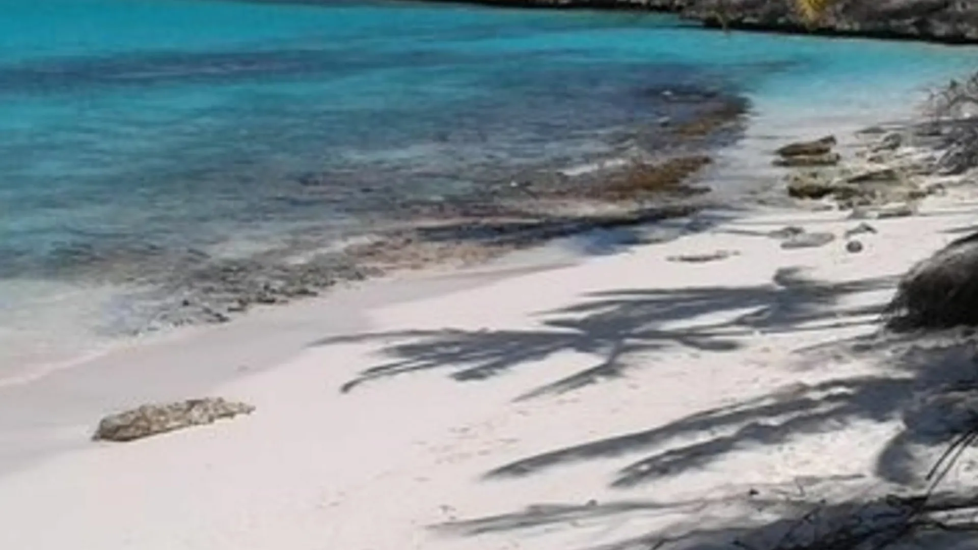 Shoal Bay Village Allamanda Beach Club