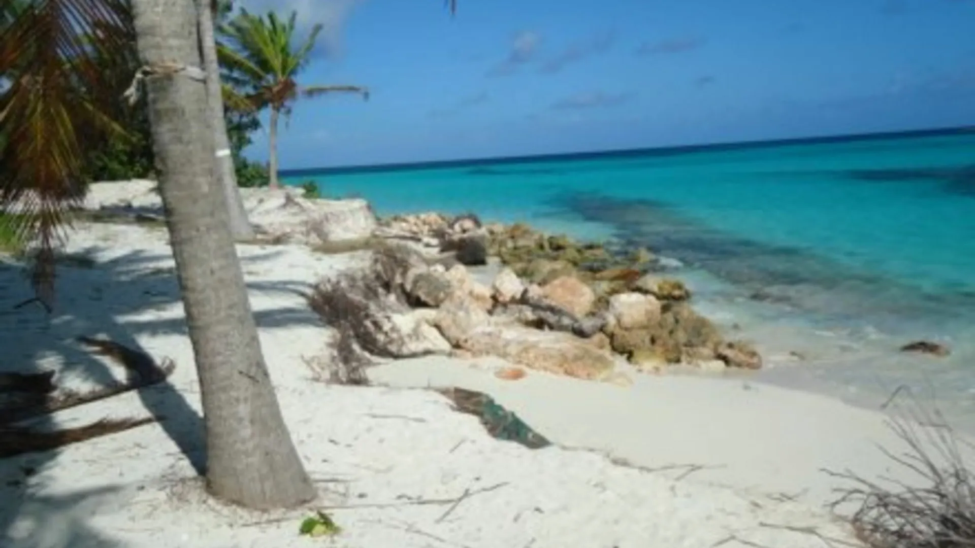 Allamanda Beach Club Shoal Bay Village Apartmán